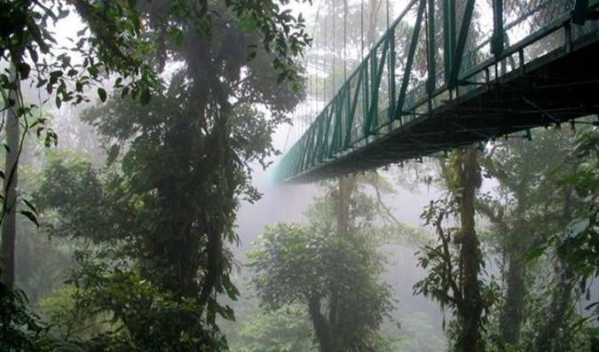 bioreserve the cloud forest